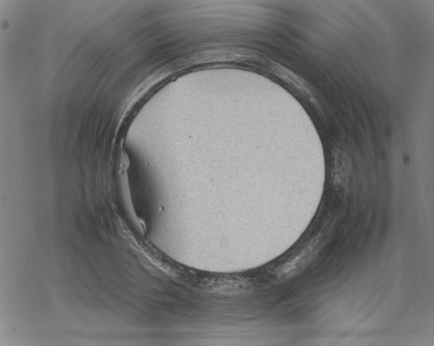 X0000067520786200605051853