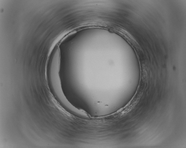 X0000067520788200605051853