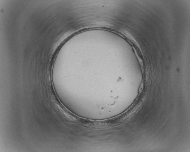 X0000067520789200605051853