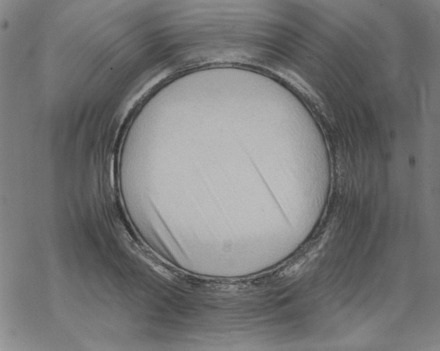 X0000067520790200605051853