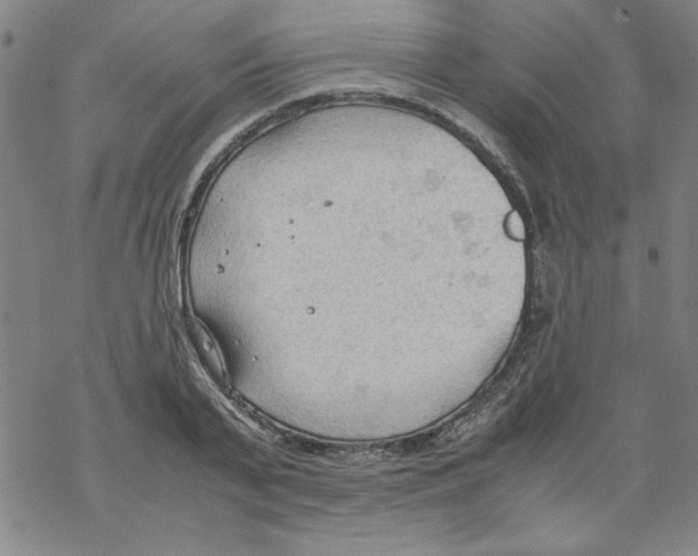 X0000067520791200605051853