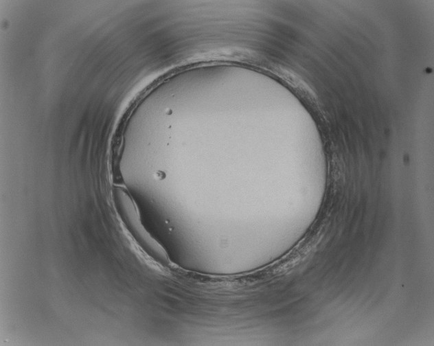 X0000067520792200605051853