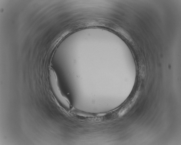 X0000067520793200605051853