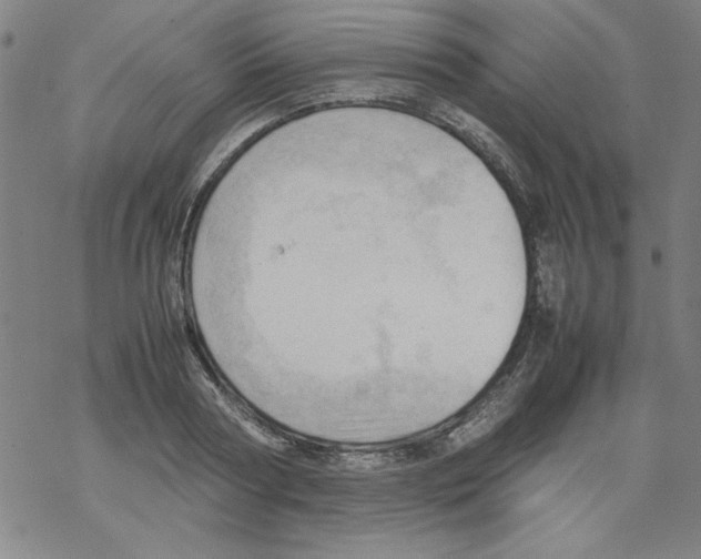 X0000067520794200605051853