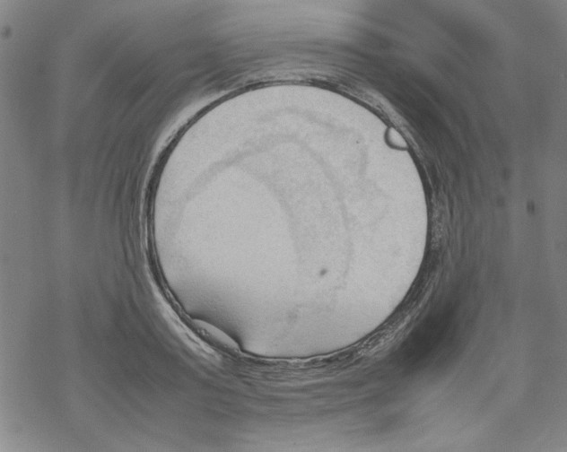 X0000067520795200605051853