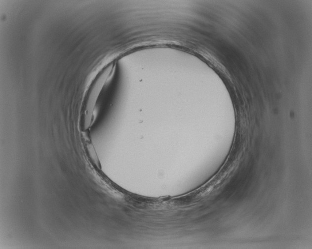 X0000067520797200605051853