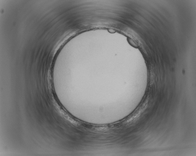 X0000067520798200605051853