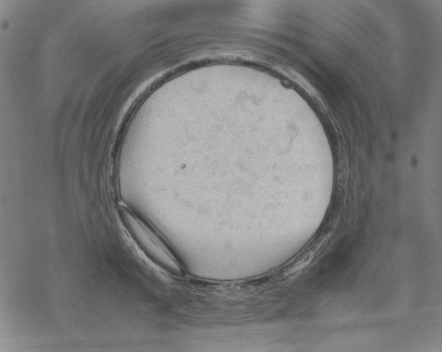 X0000067520799200605051853