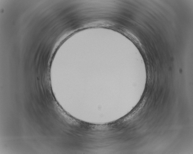 X0000067520800200605051853