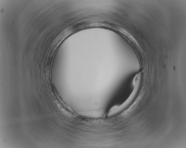 X0000067520801200605051853