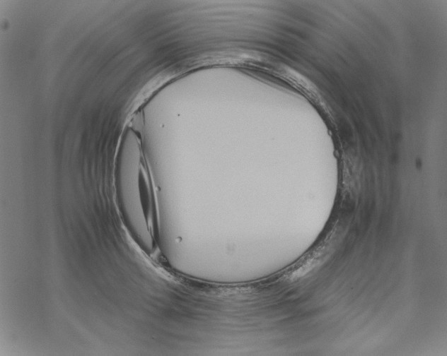 X0000067520802200605051853