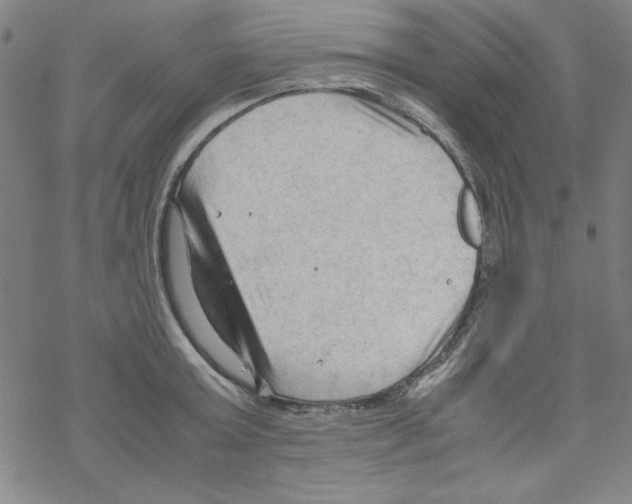 X0000067520803200605051853