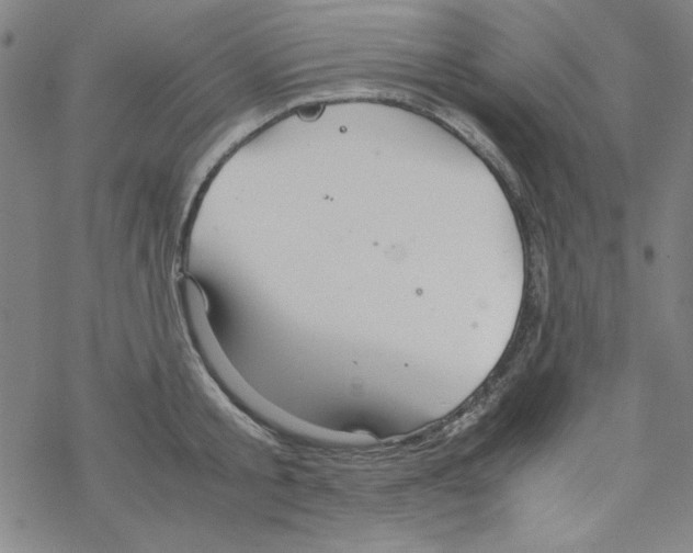 X0000067520805200605051853