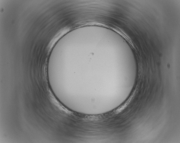 X0000067520806200605051853