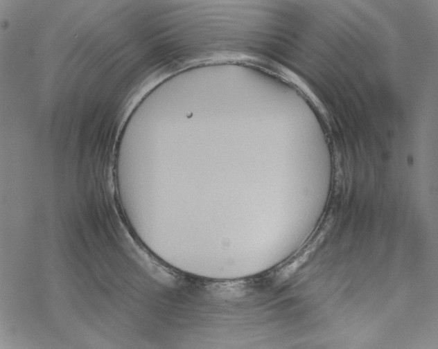 X0000067520810200605051853