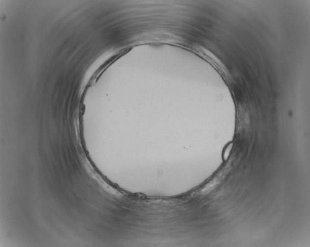 X0000067520812200605051853