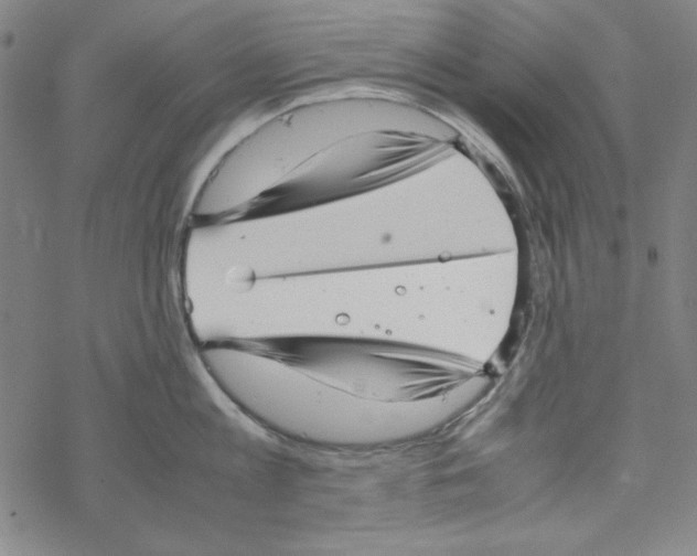 X0000067520813200605051853