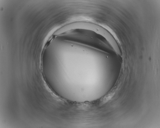 X0000067520815200605051853