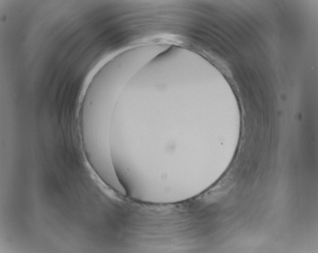 X0000067520816200605051853