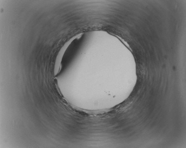 X0000067520818200605051852