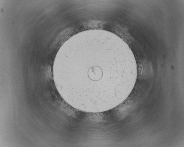 X0000067520820200605051852