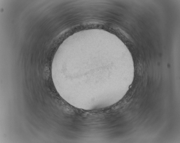 X0000067520821200605051852