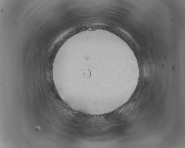 X0000067520823200605051852