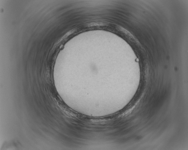 X0000067520825200605051852