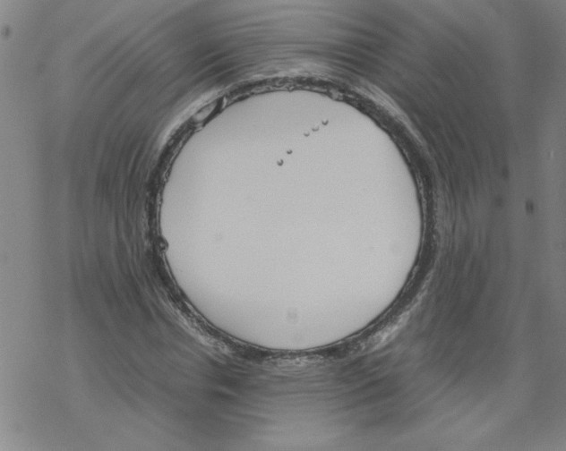 X0000067520826200605051852