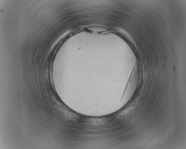 X0000067520827200605051852