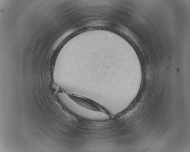 X0000067520829200605051852