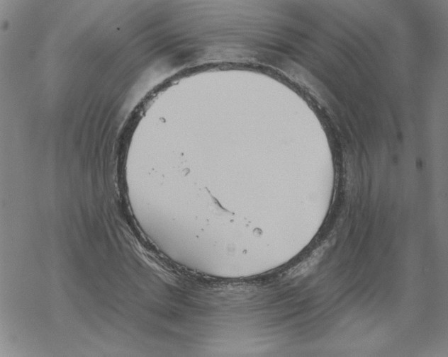 X0000067520830200605051852