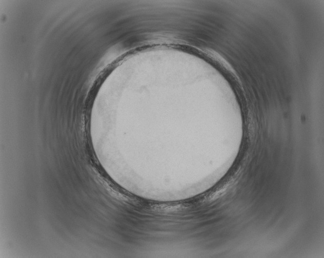 X0000067520831200605051852