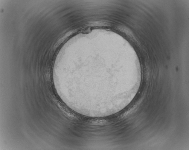 X0000067520833200605051852