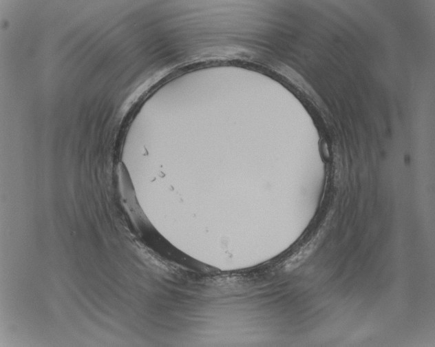 X0000067520834200605051852