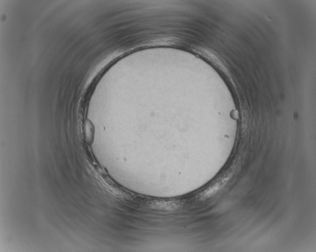 X0000067520835200605051852