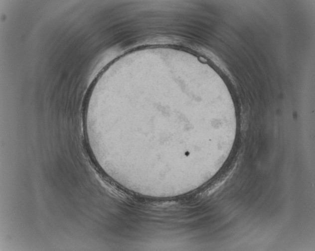 X0000067520837200605051852