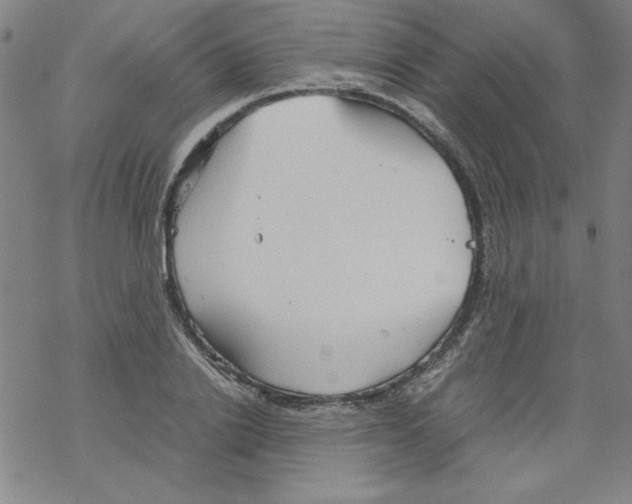 X0000067520838200605051852