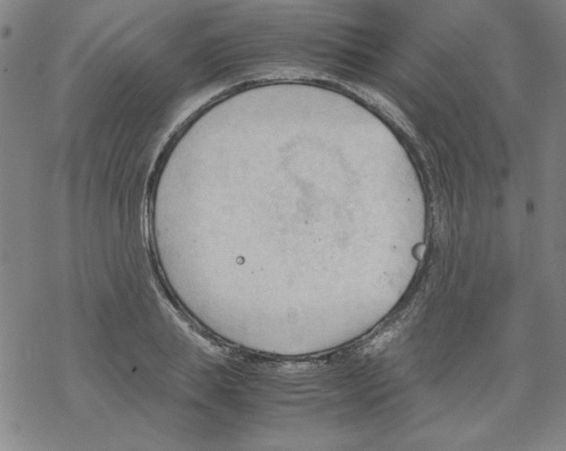 X0000067520839200605051852