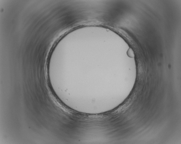 X0000067520840200605051852