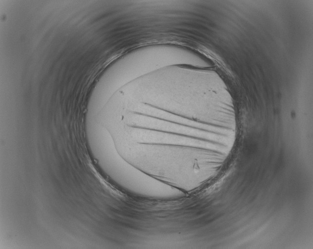 X0000067520841200605051852