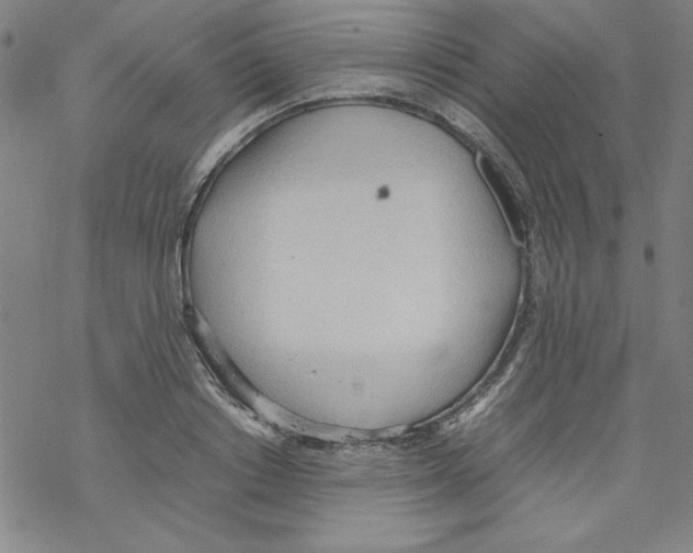 X0000067520842200605051852