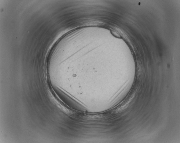 X0000067520843200605051852