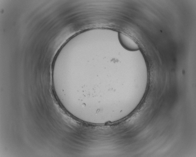 X0000067520844200605051852