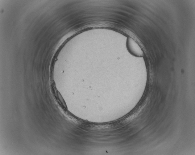 X0000067520845200605051852