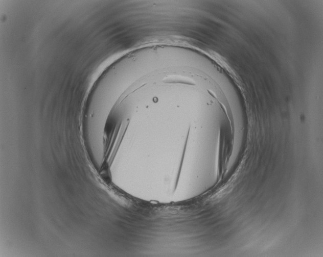 X0000067520846200605051852