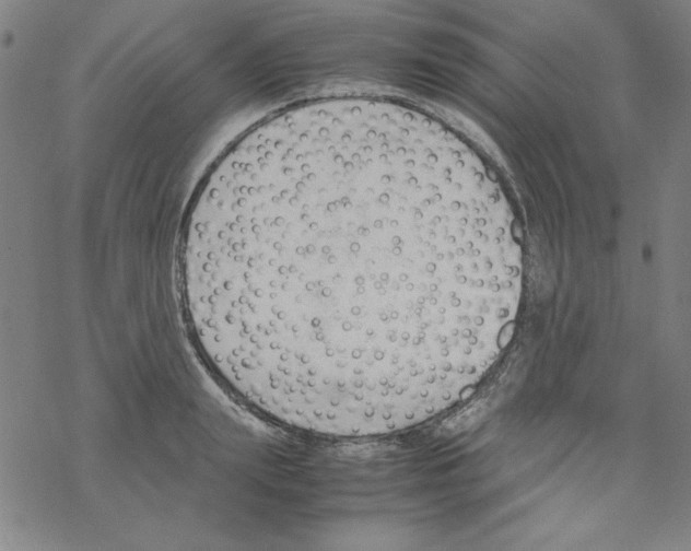 X0000067520847200605051852