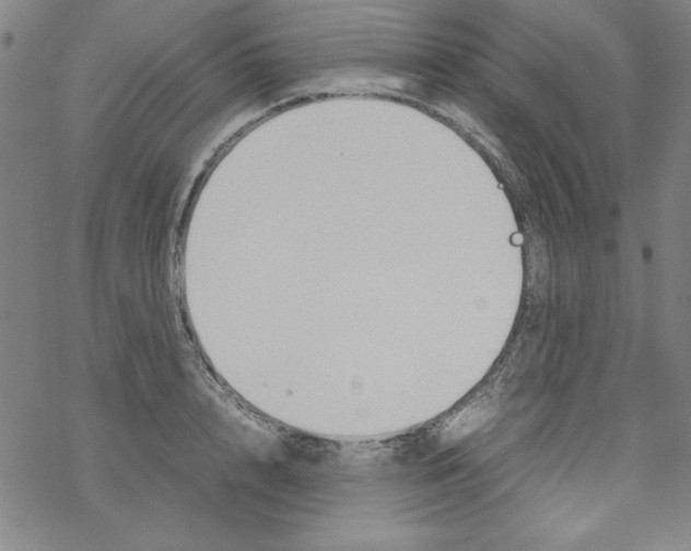 X0000067520848200605051852