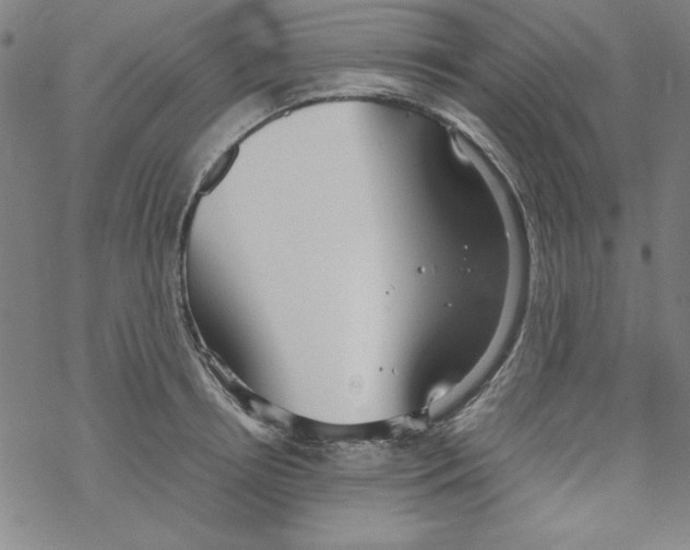 X0000067520850200605051852