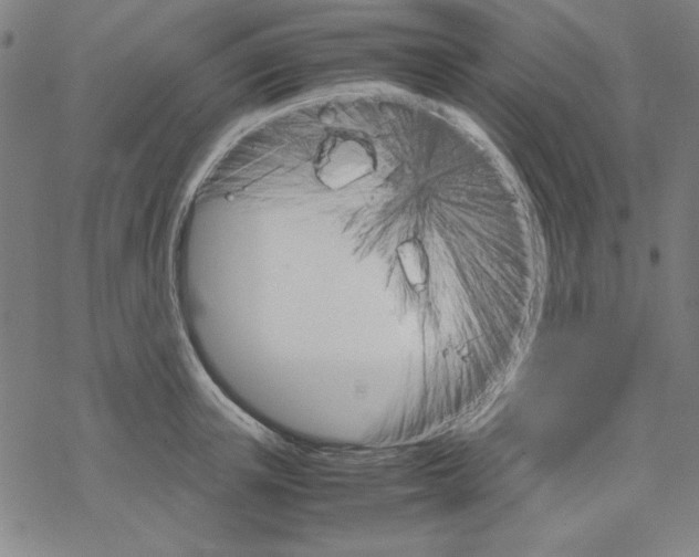 X0000067520851200605051853